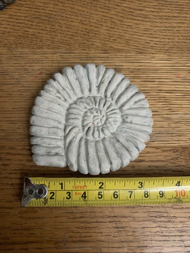 Latex rubber mold - small, fossil
