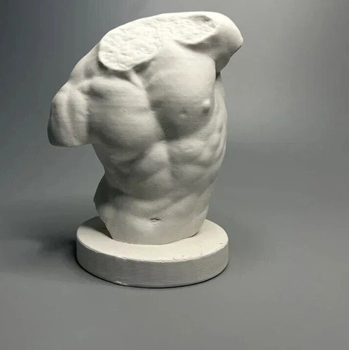 Male torso classical - male,